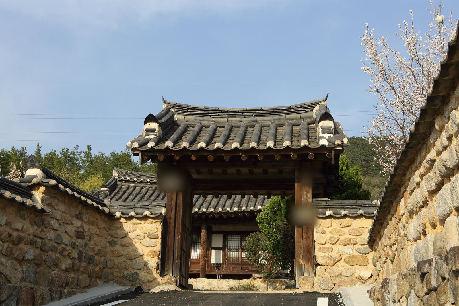 마을 입구 쪽 돌담 사이의 기와 대문. 오른쪽에 흰 꽃이 핀 나무가 있다.
